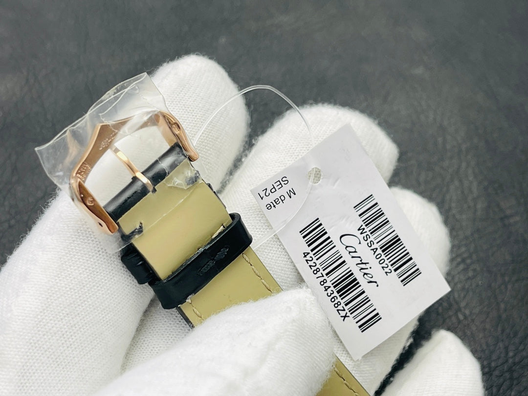 Cartier Santos-Dumont WSSA0022  — Inquire Price via WhatsApp